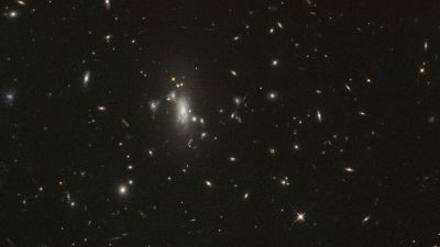 Hubble's view of galaxy cluster MACS J0417, a gravitational lens that warps and magnifies background galaxies where supernova Athena is expected to reappear.